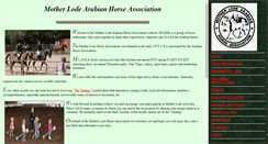 Desktop Screenshot of mlaha.org