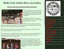 Tablet Screenshot of mlaha.org